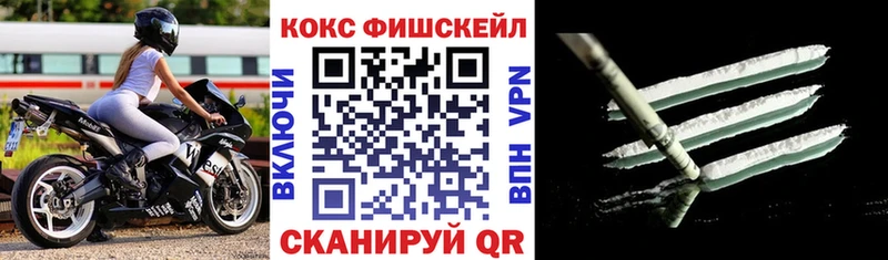 Купить закладки Ишим Cocaine FishScale