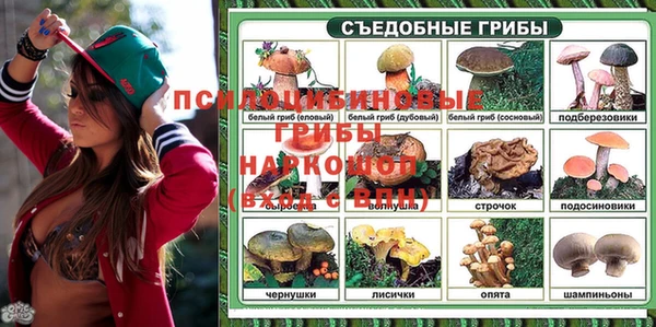 PSILOCYBIN Ельня