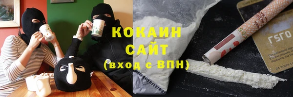PSILOCYBIN Ельня