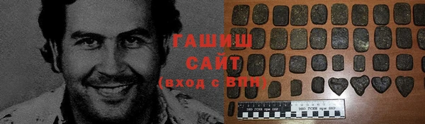 PSILOCYBIN Ельня