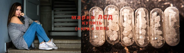 PSILOCYBIN Ельня