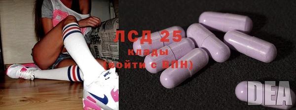 PSILOCYBIN Ельня