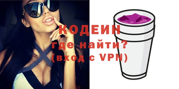 PSILOCYBIN Ельня