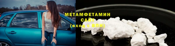 PSILOCYBIN Ельня