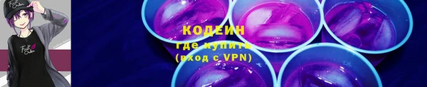 PSILOCYBIN Ельня