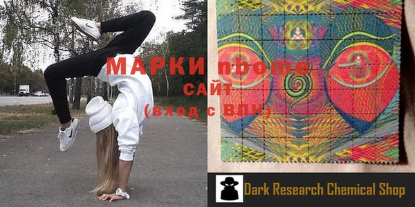 PSILOCYBIN Ельня