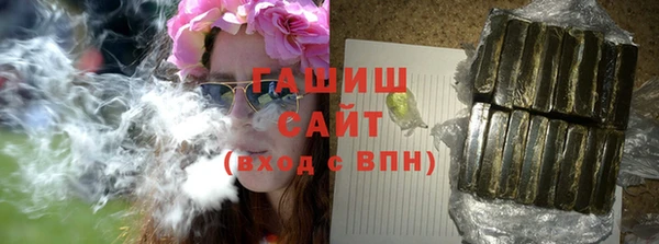 PSILOCYBIN Ельня